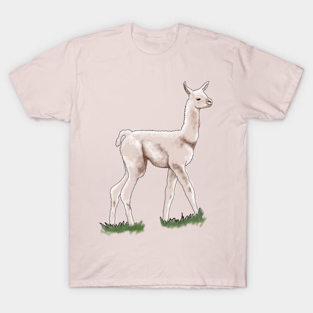 llama T-Shirt by BeautyMoment